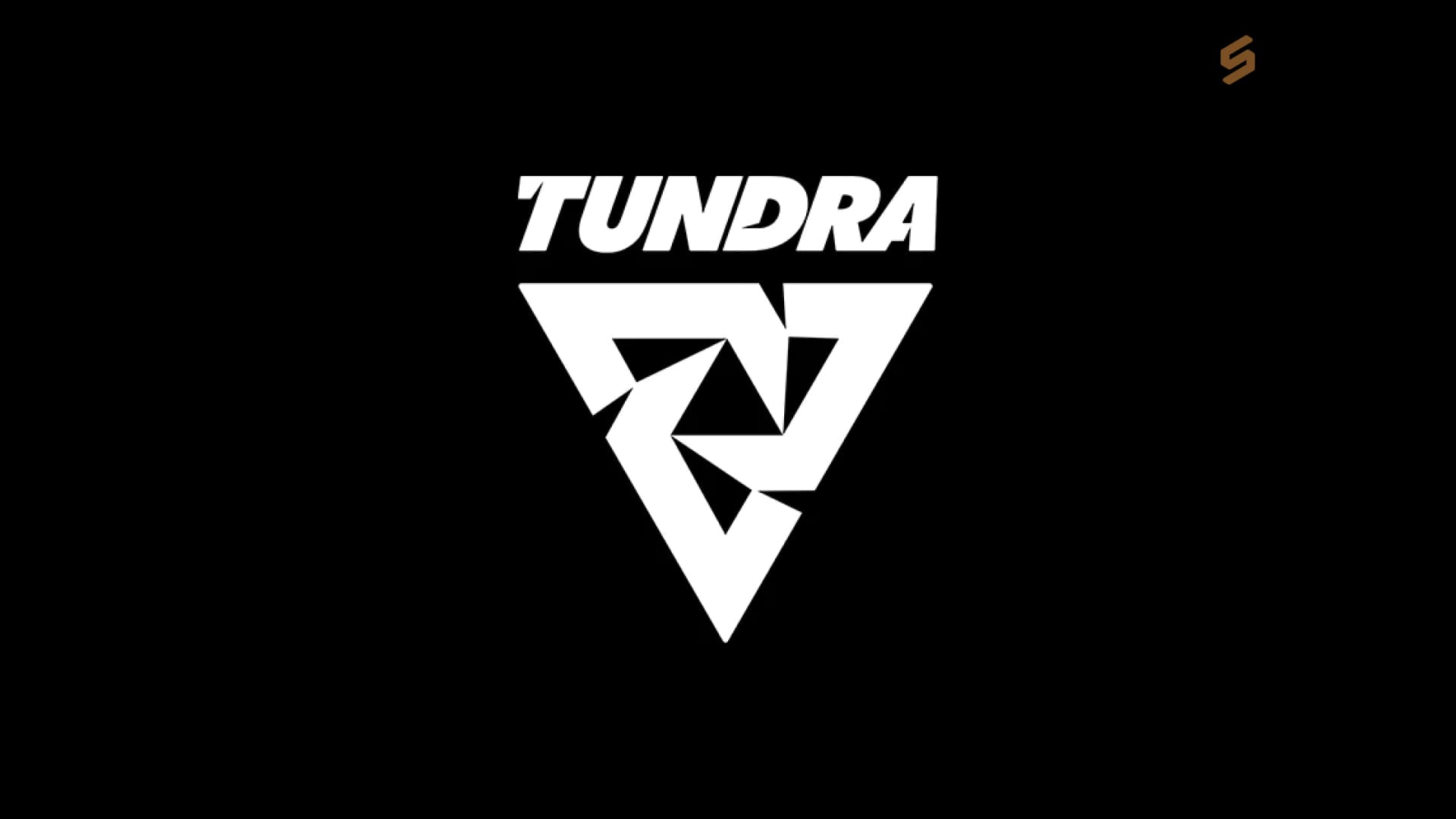 Tundra Esports соберет состав по CS2