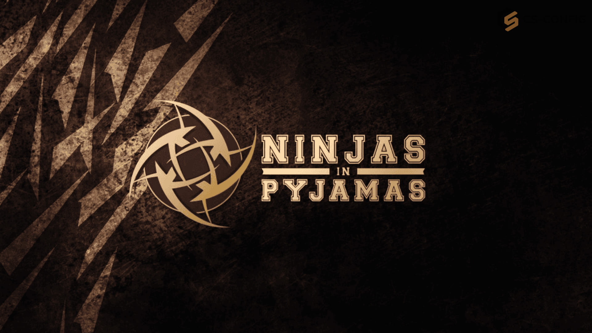 Ninjas in Pyjamas завершили формирование нового состава по CS2