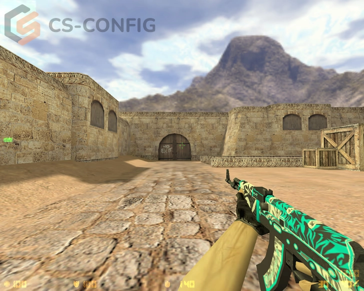 CS 1.6 Professional