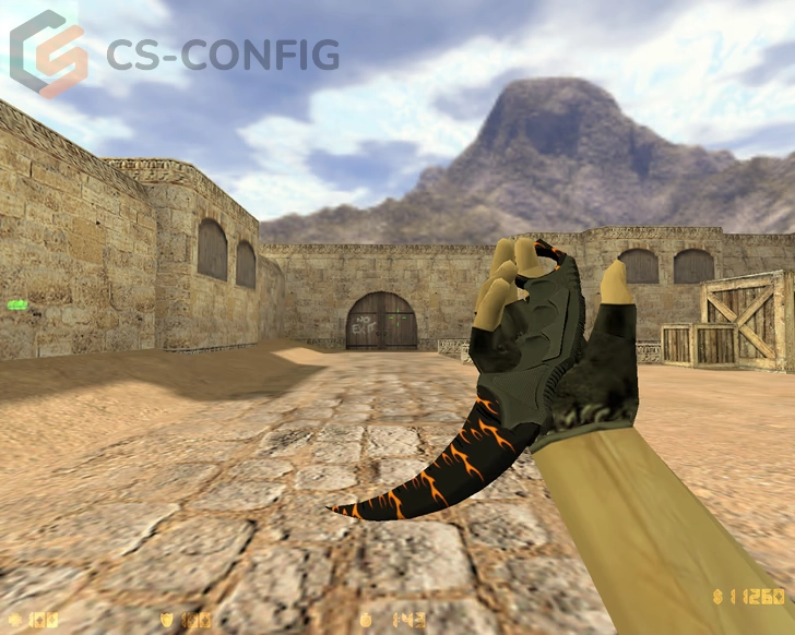 CS 1.6 Professional