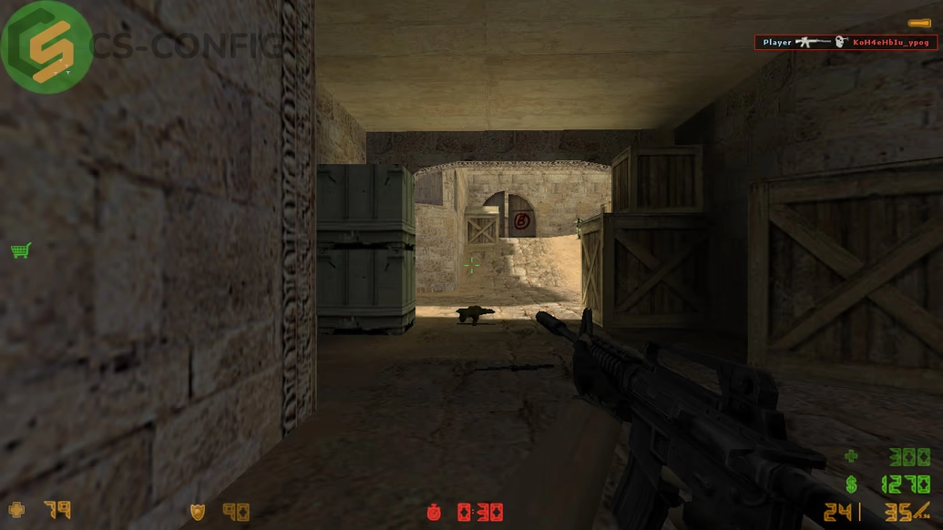 CS 1.6 с защитой