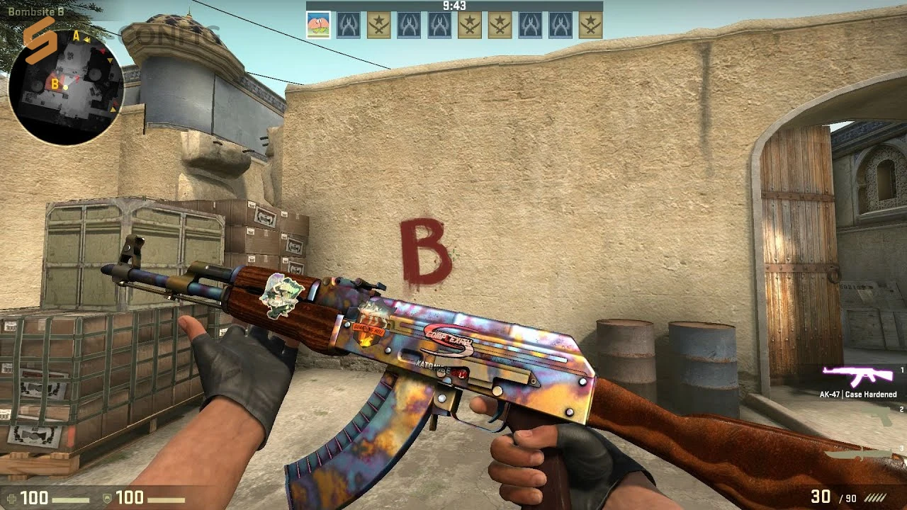 CS:GO с ботами