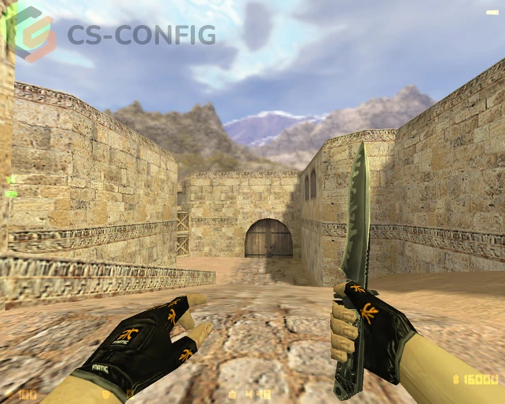 CS 1.6 Fnatic