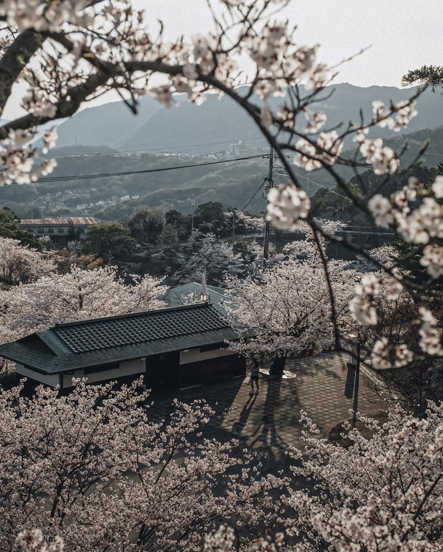 Фото игрока teshov