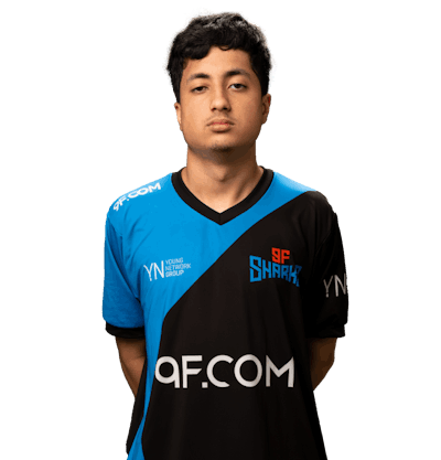 Фото игрока koala