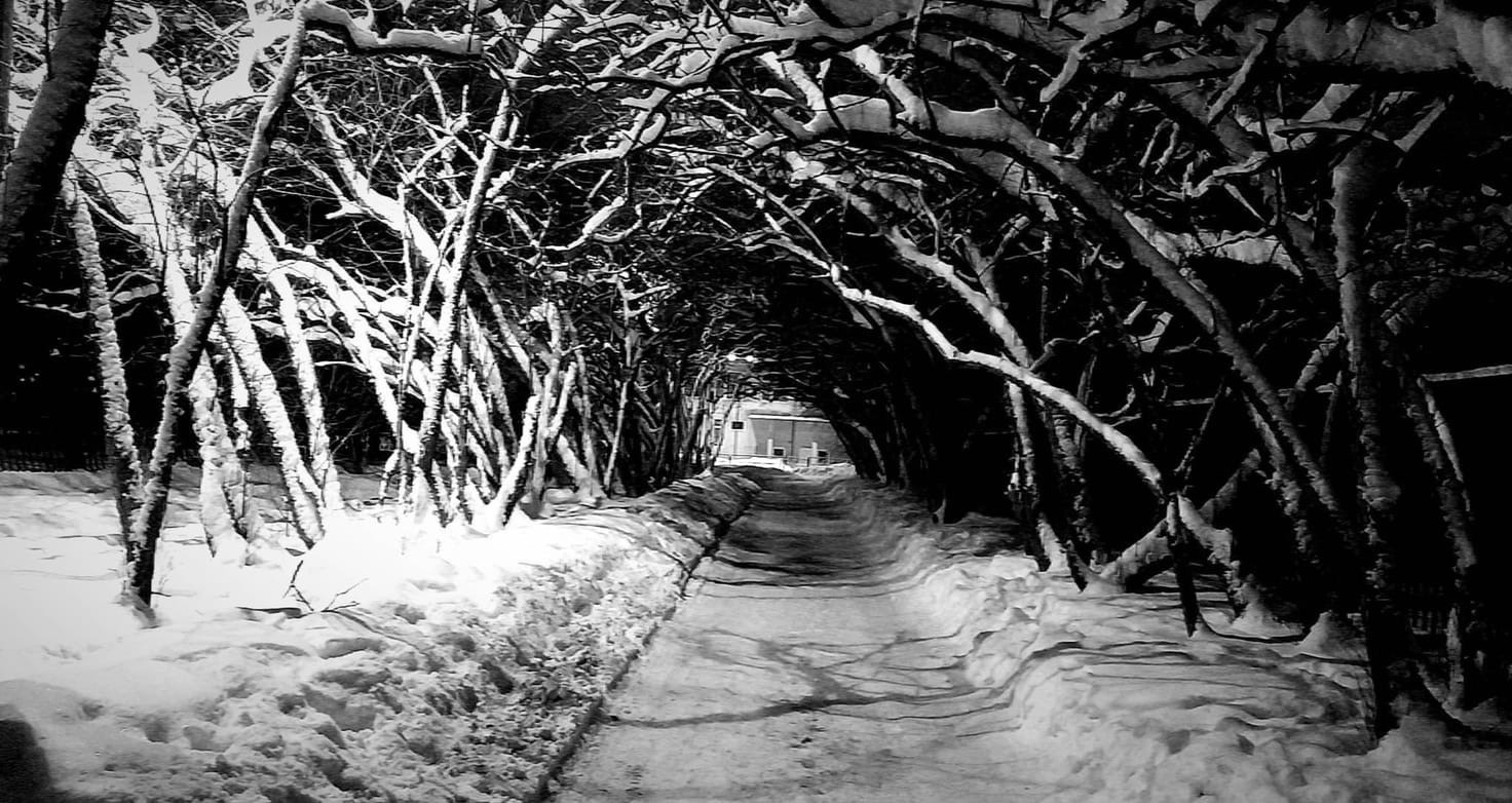 Фото игрока champ1oNloss