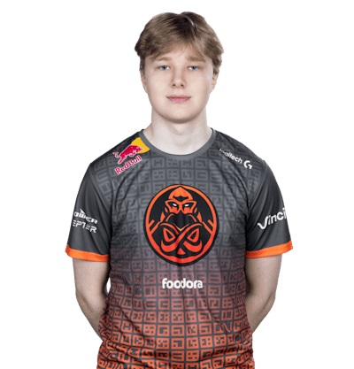 Фото игрока teme