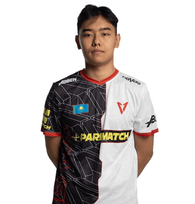 Фото игрока tasman