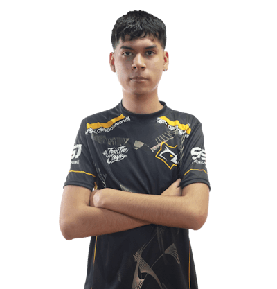 Фото игрока next