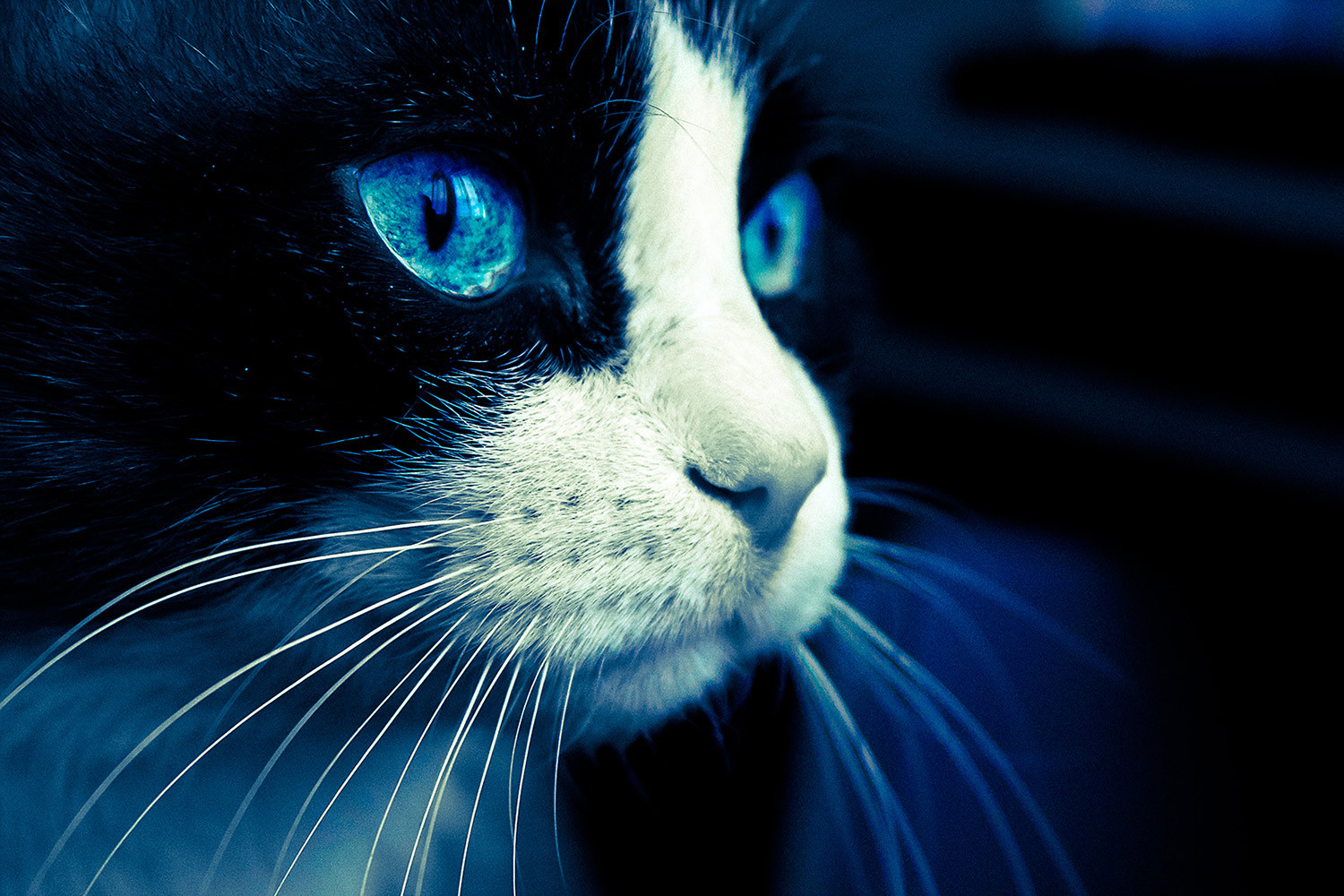 Фото игрока Tap4iK