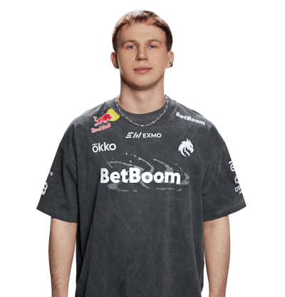 Фото игрока tN1R