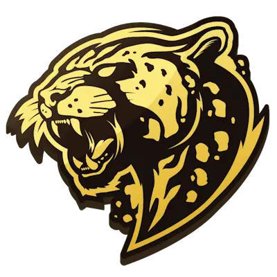 Настройки команды Bushido Wildcats