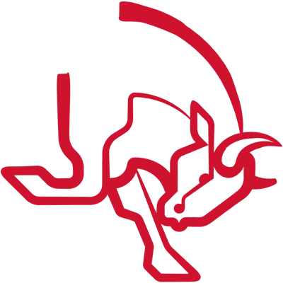 Настройки команды AaB Bulls