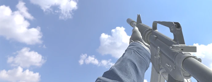 Руки kennyS