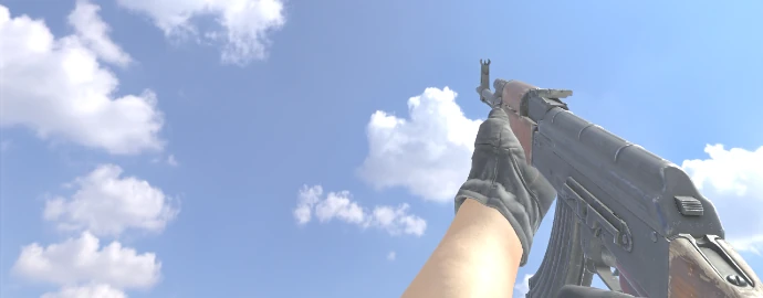 Руки kennyS