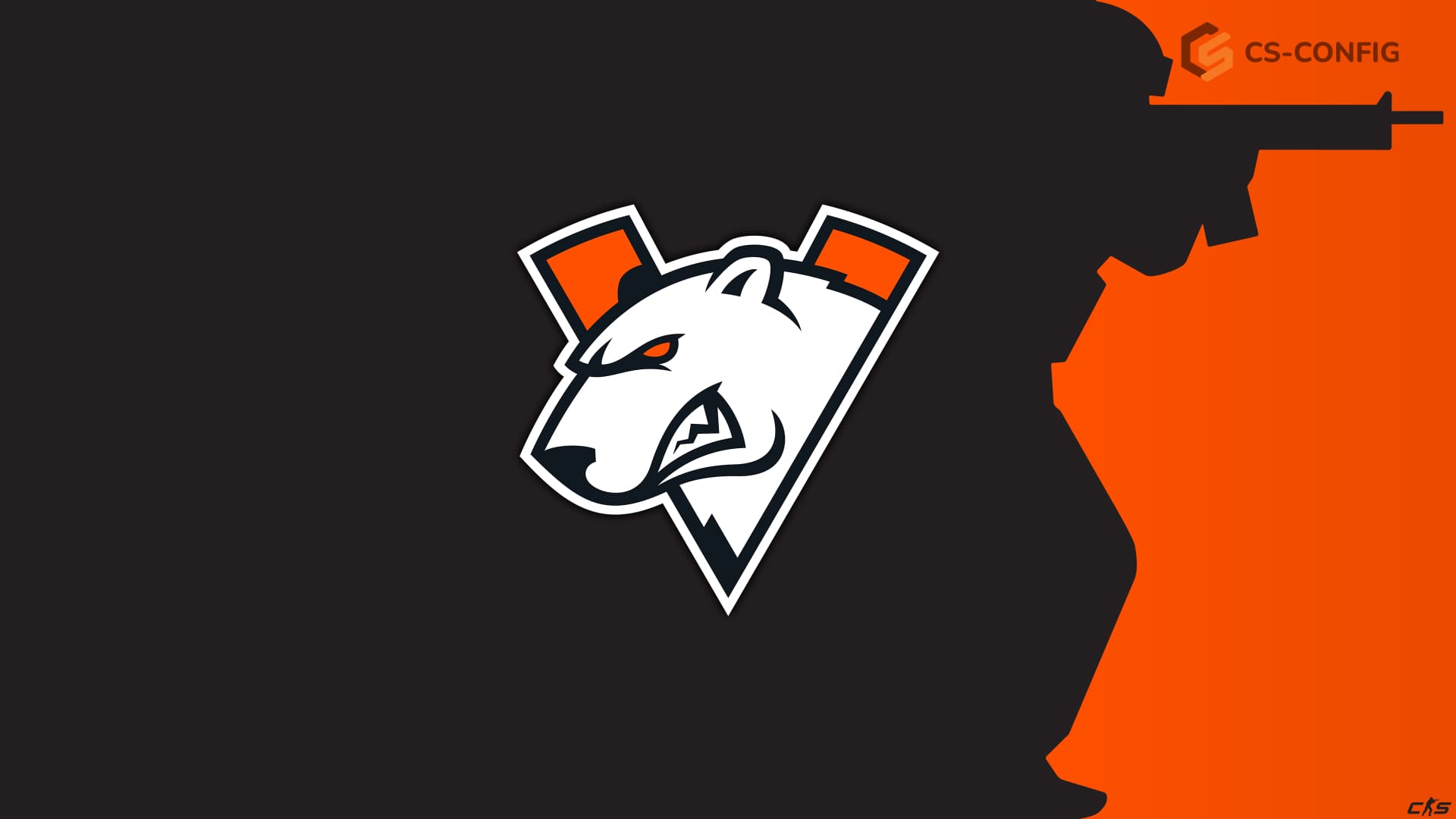 Virtus.pro вернулась в топ-50 команд от Valve