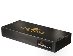 DreamHack 2013