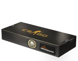 DreamHack 2014 Dust II