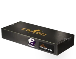 DreamHack 2014 Cobblestone