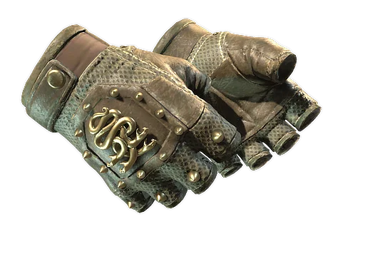 Hydra Gloves | Mangrove после полевых испытаний для CS2