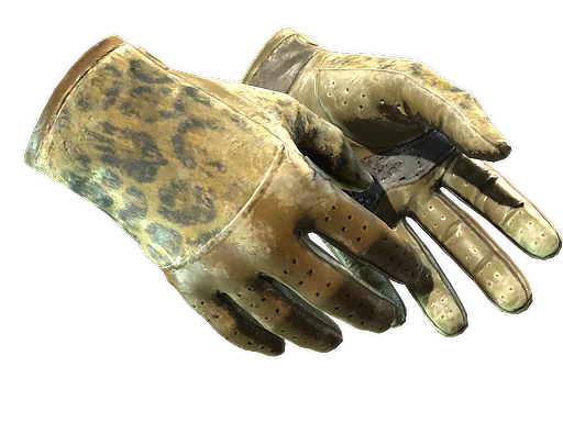 Driver Gloves | Queen Jaguar закаленное в боях для CS2