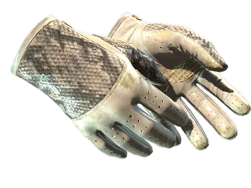 Driver Gloves | King Snake после полевых испытаний для CS2