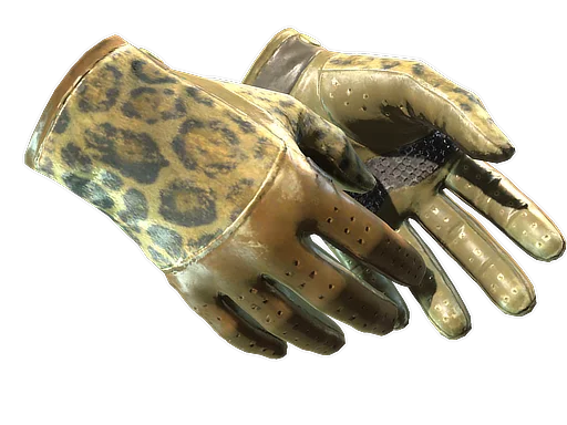 Driver Gloves | Queen Jaguar после полевых испытаний для CS2