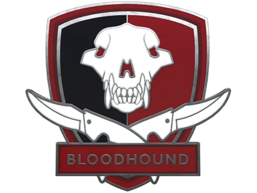 Bloodhound