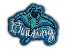 Cruising Ray