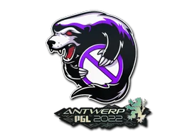 Outsiders | Antwerp 2022 для CS2