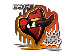 Renegades | 2020 RMR для CS2