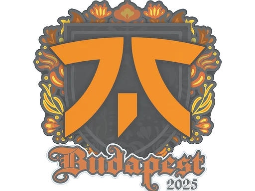 fnatic | Budapest 2025 для CS2