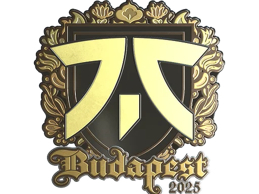 fnatic (Gold) | Budapest 2025 для CS2