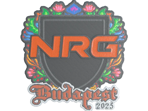 NRG (Embroidered) | Budapest 2025 для CS2