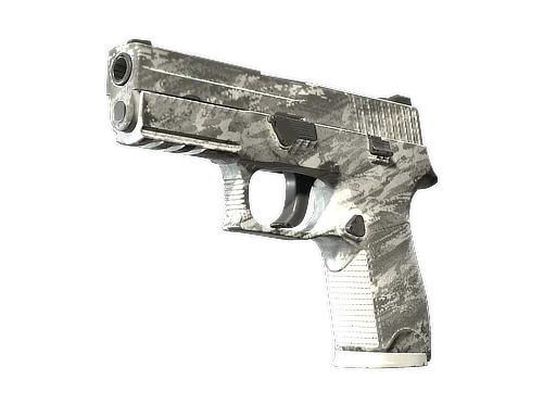P250 | Sleet поношенное для CS2