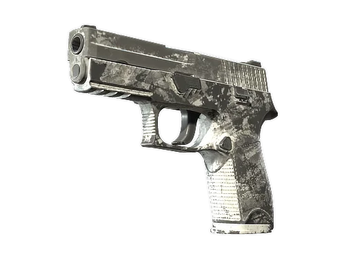 P250 | Sleet закаленное в боях для CS2