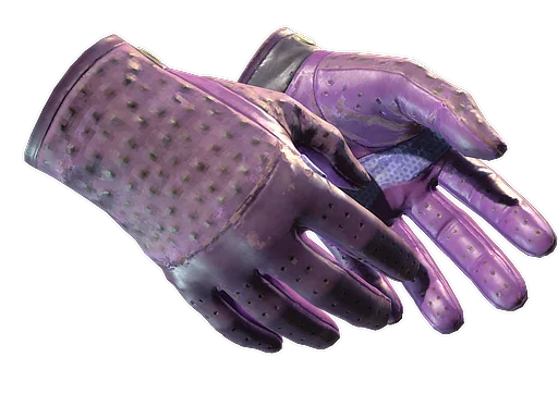 Driver Gloves | Plum Quill после полевых испытаний для CS2
