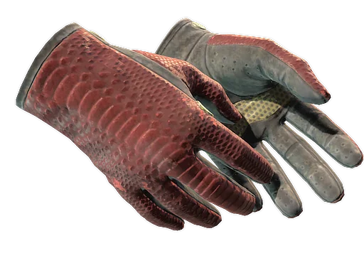 Driver Gloves | Dragon Fists после полевых испытаний для CS2