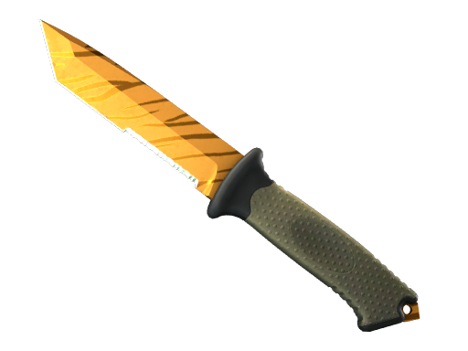 Tiger Tooth